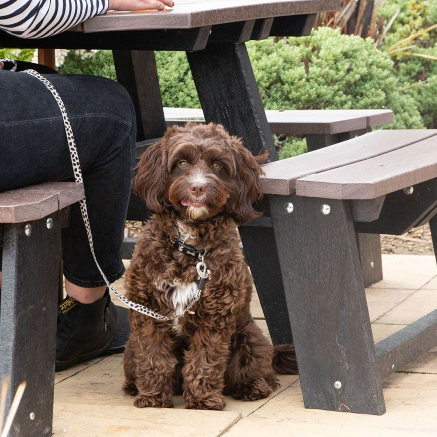 Your local dog friendly pub in Pontardawe